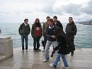 IMG_1051.jpg